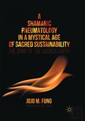 A Shamanic Pneumatology In A Mystical Age Of Sacred Sustainability