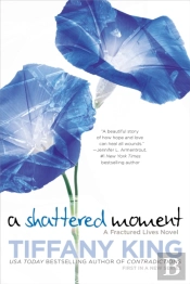 A Shattered Moment