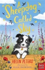 A Sheepdog Called Sky