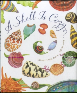 Bertrand.pt - A Shell Is Cozy
