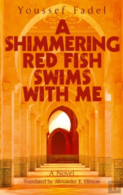 Bertrand.pt - A Shimmering Red Fish Swims With Me