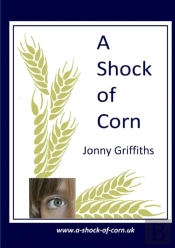 A Shock Of Corn