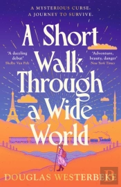 A Short Walk Through A Wide World