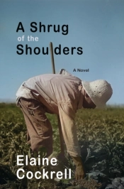 A Shrug Of The Shoulders
