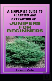 A Simplified Guide To Planting And Extraction Of Junipers For Beginners