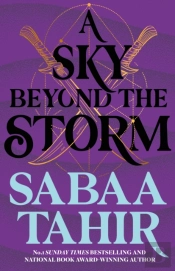 A Sky Beyond The Storm