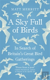 A Sky Full Of Birds