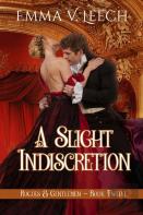 A Slight Indiscretion