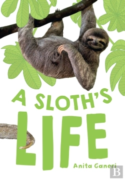 Bertrand.pt - A Sloth'S Life
