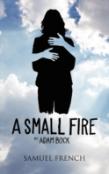 A Small Fire