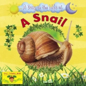 A Snail