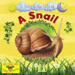 Bertrand.pt - A Snail