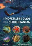 A Snorkellerâ€™S Guide To The Mediterranean