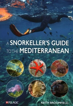 Bertrand.pt - A Snorkellerâ€™S Guide To The Mediterranean