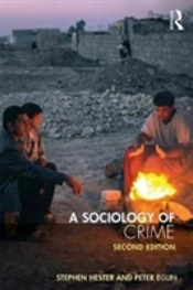 A Sociology Of Crime