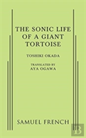 A Sonic Life Of A Giant Tortoise