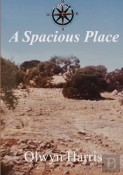 A Spacious Place