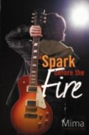 A Spark Before The Fire