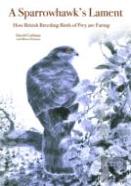 A Sparrowhawk'S Lament