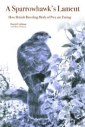 A Sparrowhawk'S Lament