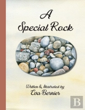 A Special Rock