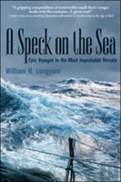 A Speck On The Sea