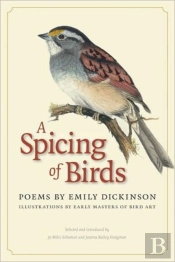 A Spicing Of Birds