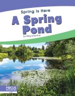 A Spring Pond