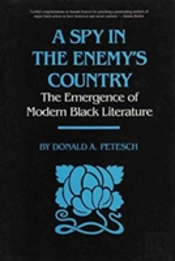 A Spy In The Enemy'S Country