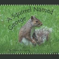 Bertrand.pt - A Squirrel Named George