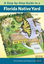 A Step-By-Step Guide To A Florida Native Yard