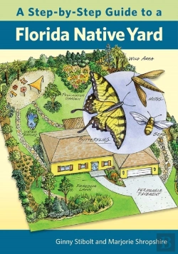 Bertrand.pt - A Step-By-Step Guide To A Florida Native Yard