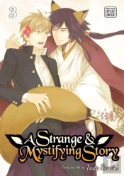 A Strange & Mystifying Story, Vol. 3