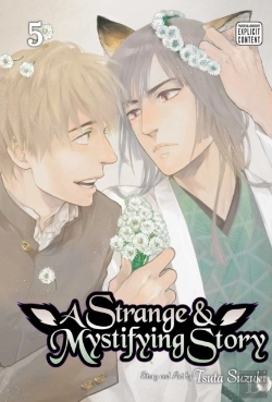 Bertrand.pt - A Strange & Mystifying Story, Vol. 5