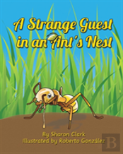 A Strange Guest In An Ant'S Nest