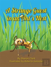 A Strange Guest In An Ant'S Nest