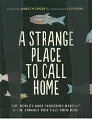 A Strange Place To Call Home