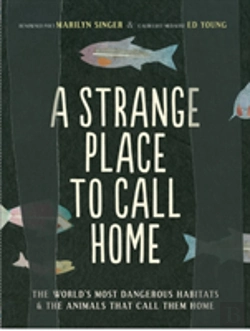Bertrand.pt - A Strange Place To Call Home