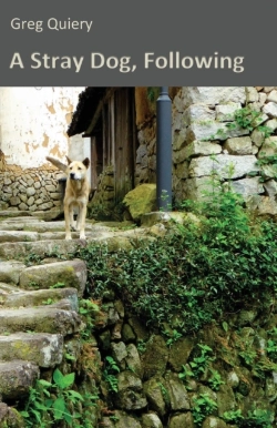 Bertrand.pt - A Stray Dog, Following