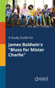 A Study Guide For James Baldwin'S ''Blues For Mister Charlie''