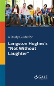 A Study Guide For Langston Hughes'S Not Without Laughter