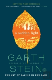 A Sudden Light