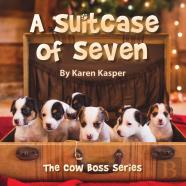 A Suitcase Of Seven
