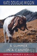 A Summer In A Canyon (Esprios Classics)