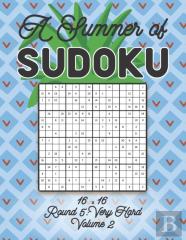 A Summer Of Sudoku 16 X 16 Round 5