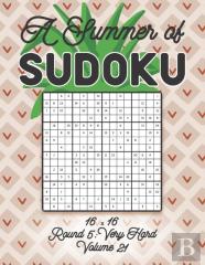 A Summer Of Sudoku 16 X 16 Round 5
