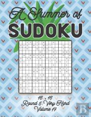 A Summer Of Sudoku 16 X 16 Round 5