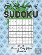 A Summer Of Sudoku 16 X 16 Round 5