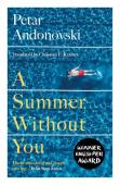 A Summer Without You