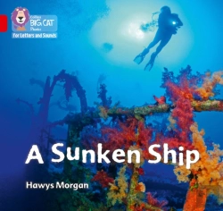 Bertrand.pt - A Sunken Ship